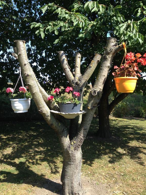 קריסטיאנסטד Vivans Bed And Self Catering מראה חיצוני תמונה
