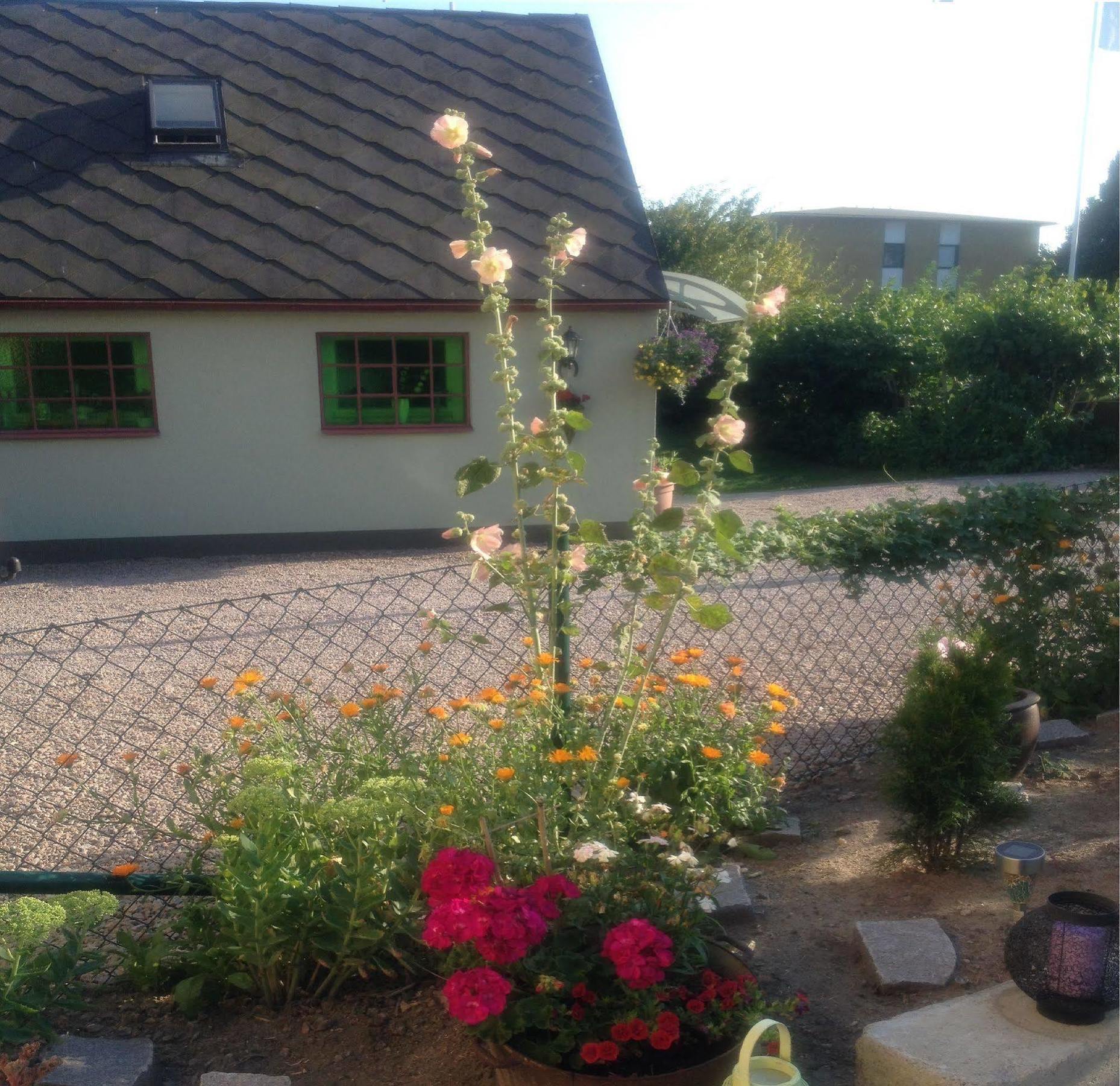 קריסטיאנסטד Vivans Bed And Self Catering מראה חיצוני תמונה